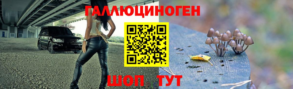 Галлюциногенные грибы MAGIC MUSHROOMS Красноуфимск